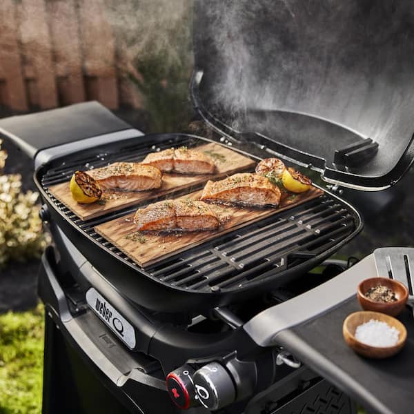 Q 2800N+ 2-Burner Liquid Propane Grill in Midnight Black with Stand