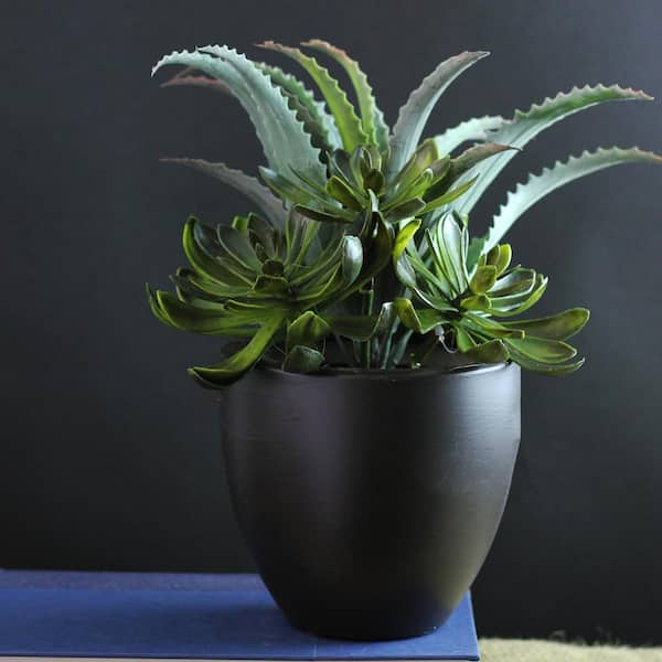 Northlight Indoor Artificial Succulent Plants
