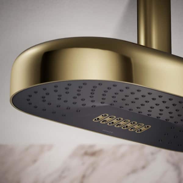 洋書 Golden shower girl 2 KOHLER Statement Oblong 2-Spray Patterns 2.5 GPM 18 in
