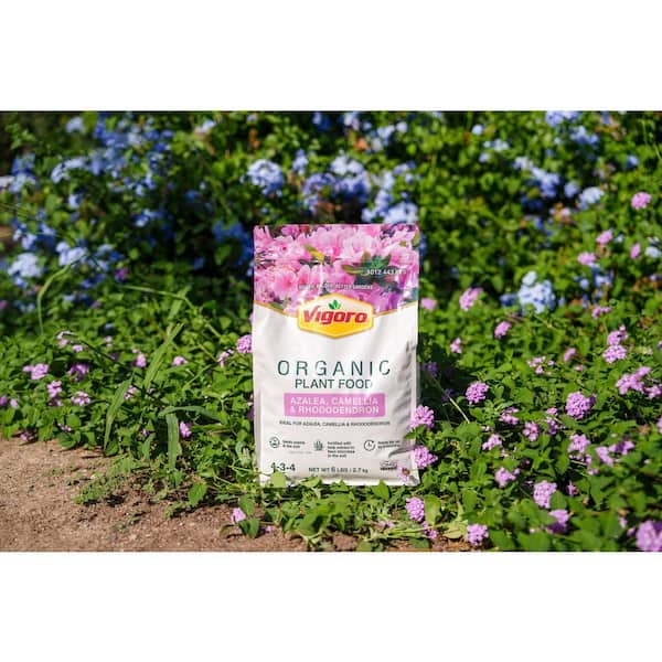 Vigoro 6 lb. Organic Azalea, Camellia, and Rhododendron Plant Food
