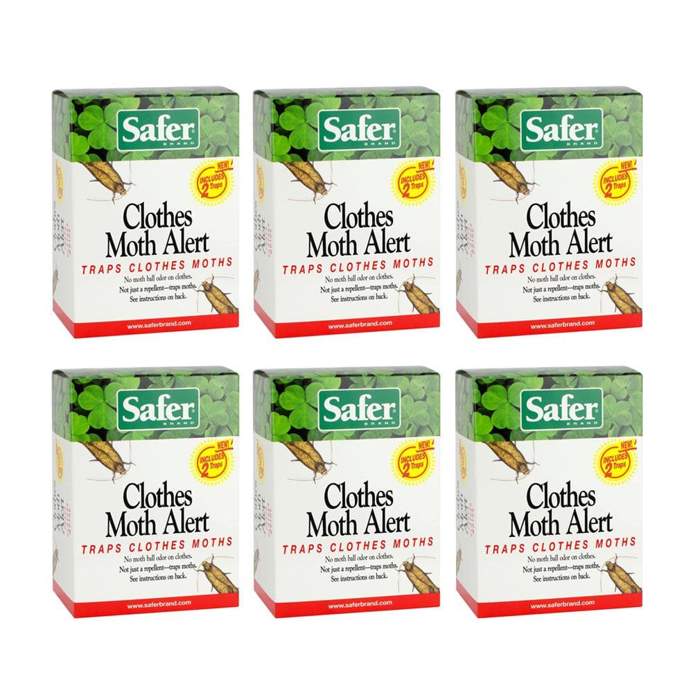 Clothes Moth Traps with Pheromones and Free Cedar Blocks Moth Repellent -  Moth Traps for Clothes - Clothing Moth Traps with Pheromones - Closet Moth