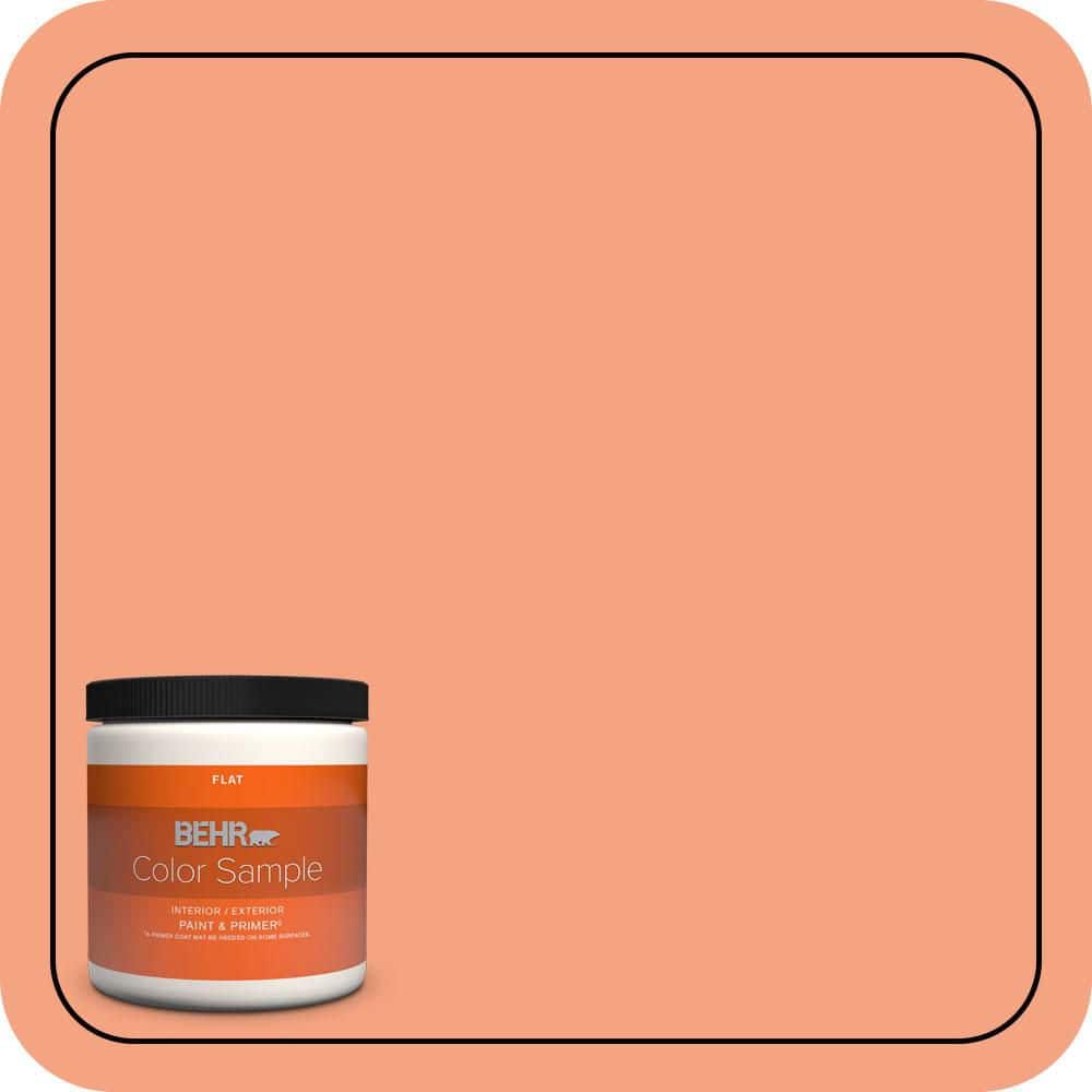 8 oz. #P190-4 Siren Flat Interior/Exterior Paint & Primer Color Sample price history on PriceWatchPro