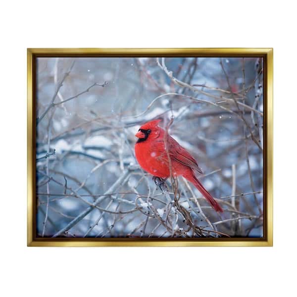 Stupell Industries Cardinal in Winter Branches by Karen Burke 1 Piece Floater Frame Graphic Print Animal Poster Art Print 31 in. x 25 in.