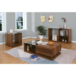 Ashlane 22 in. Black and Dark Walnut Square Glass End Table with Shelf