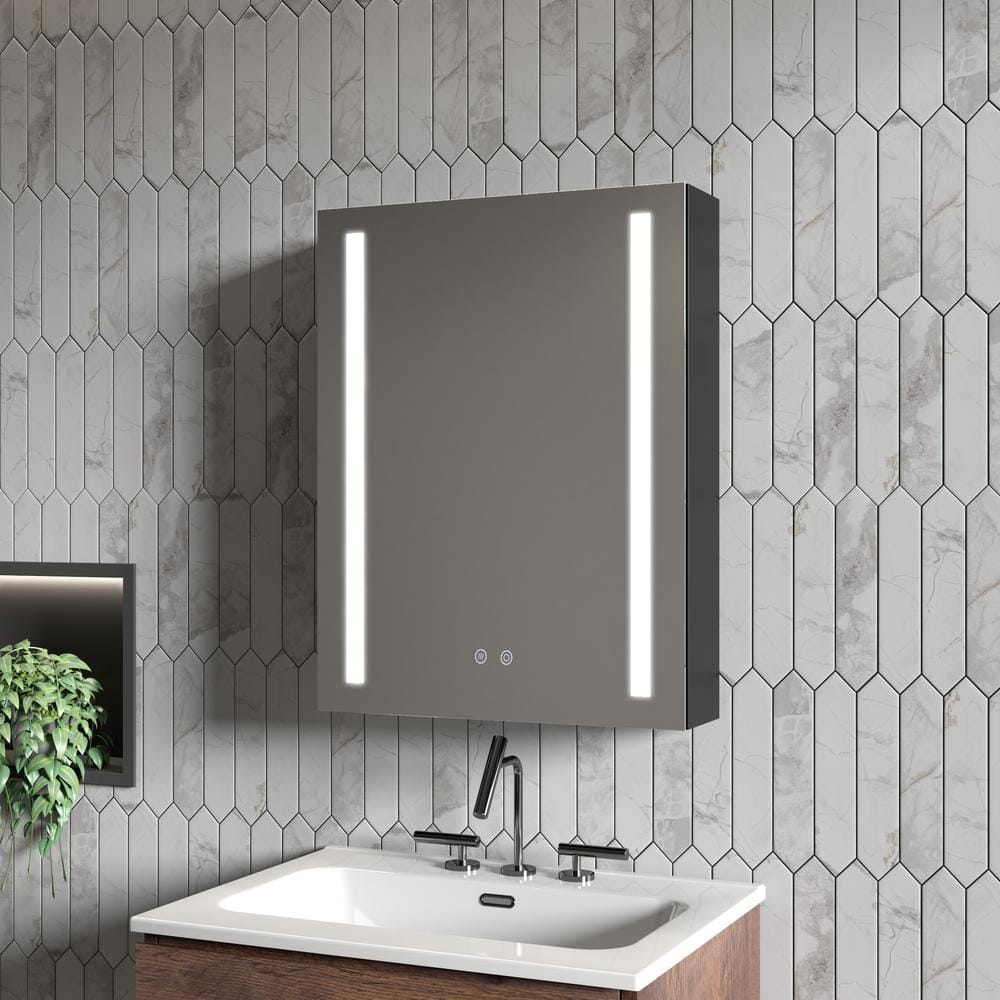 19.7 in. W x 25.6 in. H Rectangular Silver Framed Medicine Cabinet with Mir