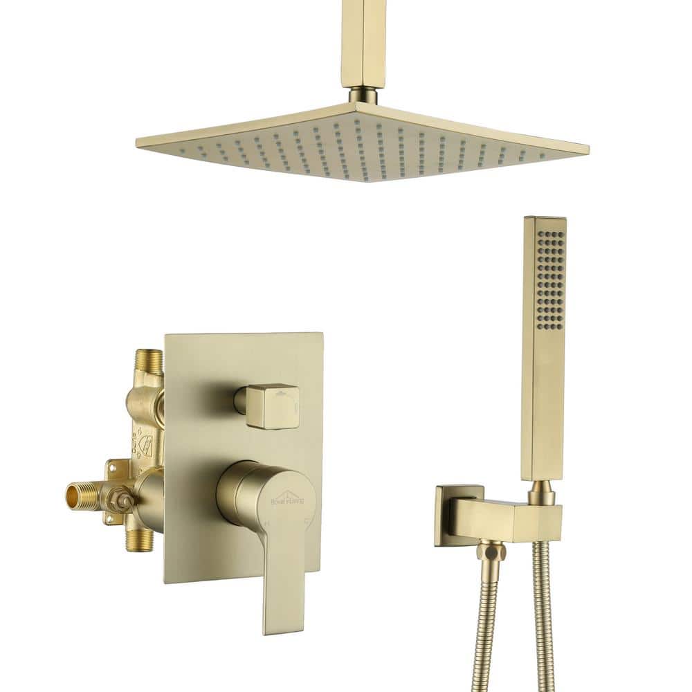 1-Spray Patterns with 2.38 GPM 10 in. Ceiling Mount Dual Shower Heads with 