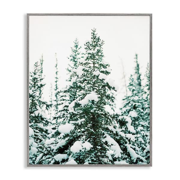 Stupell Industries Woodland Fir with Snow by Justine Milton 1 Piece Framed Graphic Print Nature Poster Art Print 20 in. x 16 in.