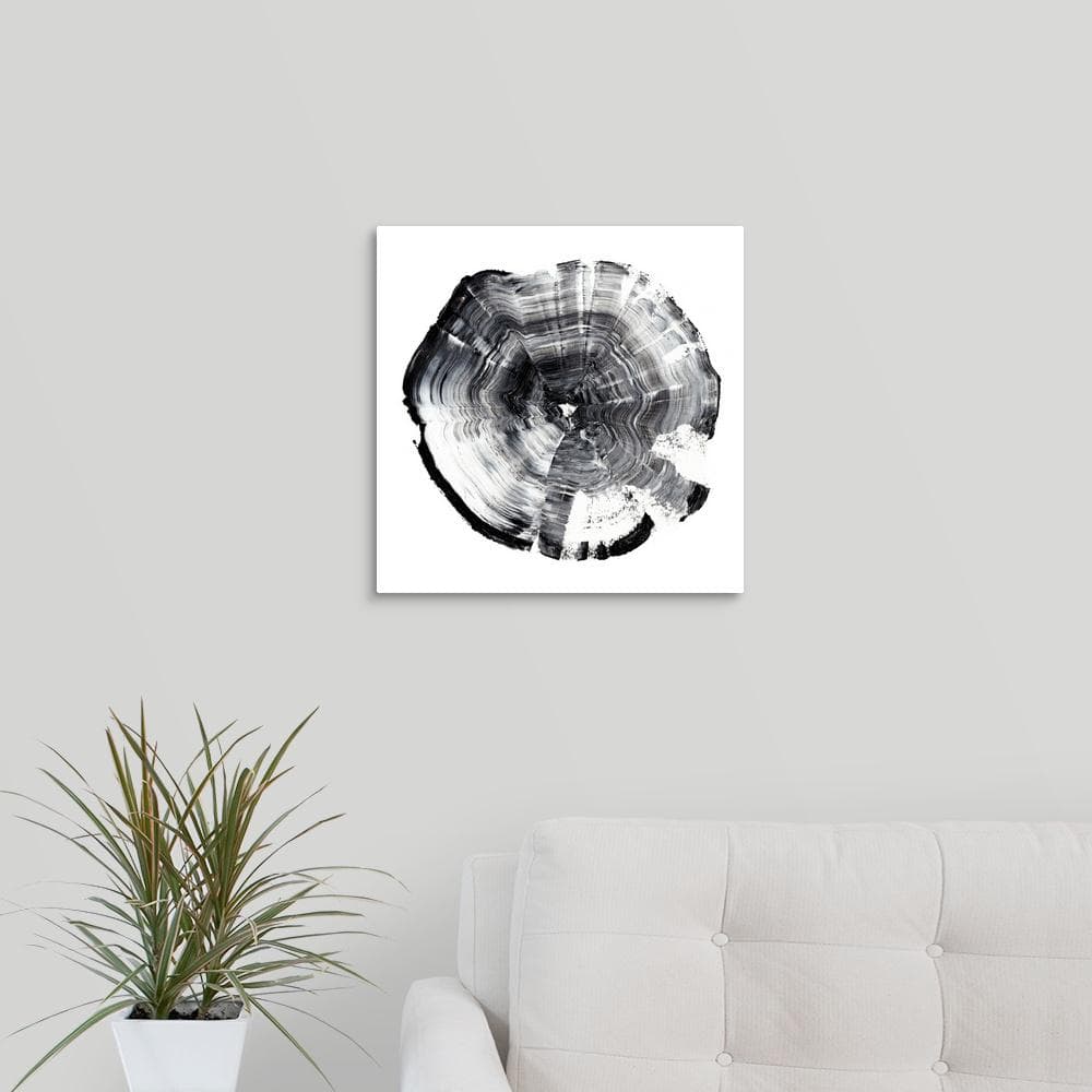 Tree Ring Abstract I by Ethan Harper Canvas Wall Art price history on PriceWatchPro