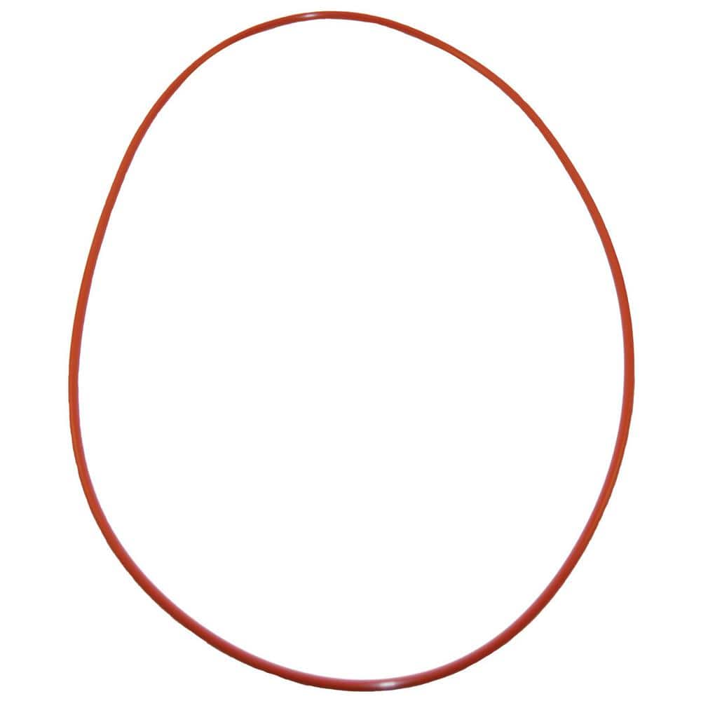 Raypak O Ring Replacement (2-Pack) Gasket for Select Pool Heaters