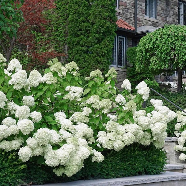 Hydrangea4937　0203 Mainstays 30.5 inch Artificial Hydrangea Flower Stem Purple