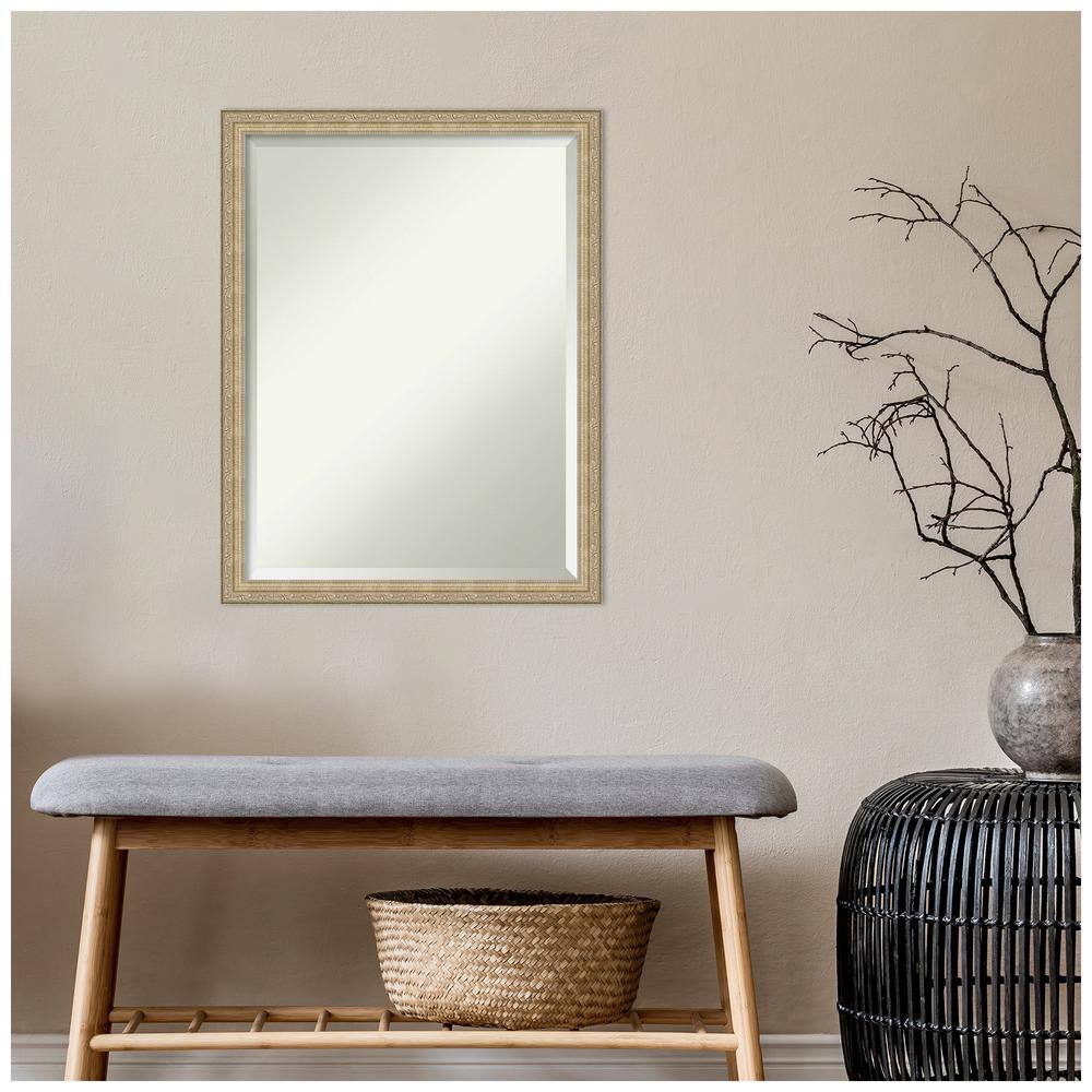 Paris Champagne Elegance 20x26 Bronze-Gold Rectangular Wall Mirror