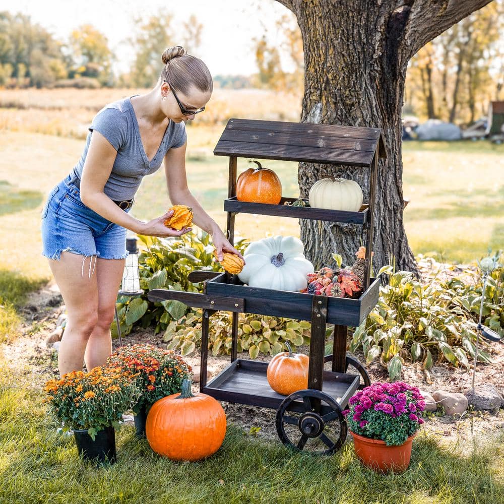 Charred Fir Wood 3-Tier Wheeled Flower Cart Display Stand