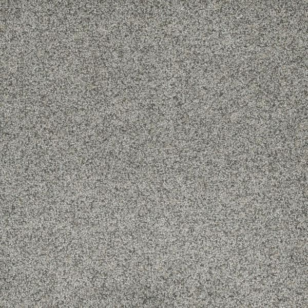 Home Decorators Collection 8 in. x 8 in. Texture Carpet Sample - Bradmore I -Color Breezy
