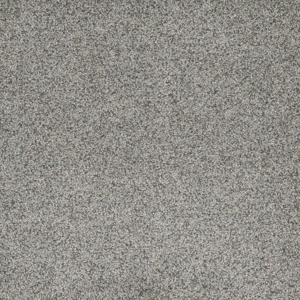 8 in. x  8 in. Texture Carpet Sample - Bradmore II -Color Breezy price history on PriceWatchPro