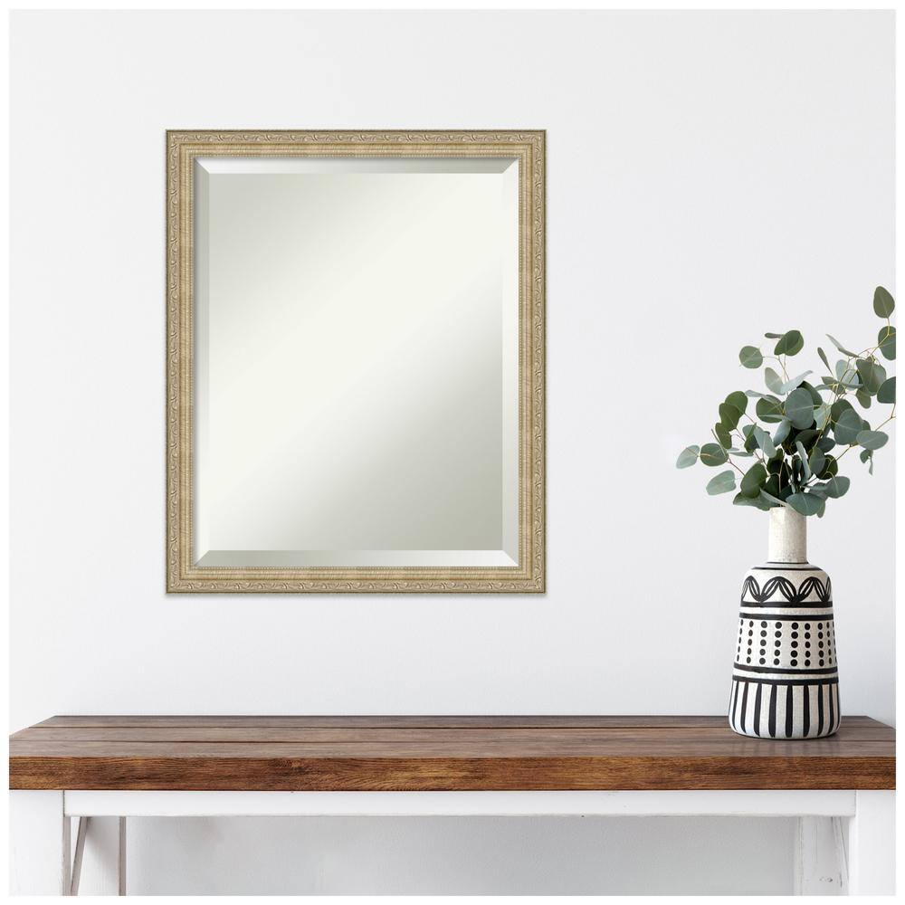 Paris Champagne Bronze Brushed Framed Wall Mirror