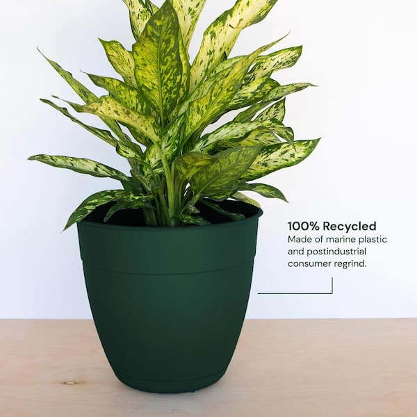 Dayton 16 in. Plastic Planter with Saucer Tray, Green