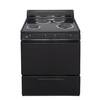 30 in. 3.91 cu. ft. Electric Range in Black