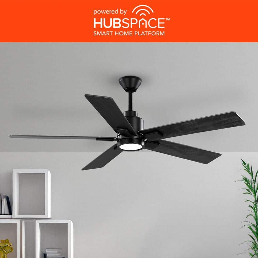Hampton Bay Zandra II 52 in. Indoor/Outdoor Matte Black Ceiling