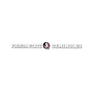 Florida State Seminoles Sun Stripe 3.25 in. x 34 in. Windshield Decal