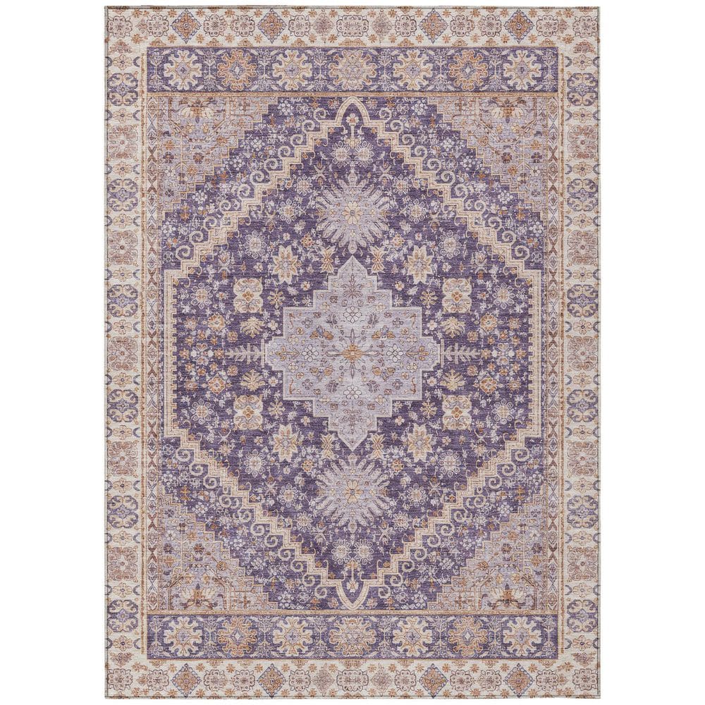 Chantille Machine Washable Indoor/Outdoor Abstract ACN2806 Purple 8 ft. x 10 ft. Area Rug price history on PriceWatchPro