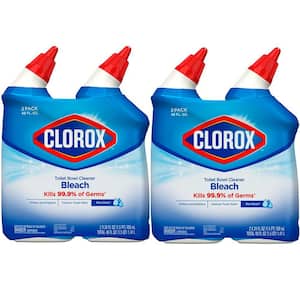 24 oz. Rain CleanToilet Bowl Cleaner with Bleach (2-Pack)