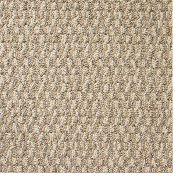 TrafficMaster Carpet Sample - State of the Art - Color Sacramento Loop 8 in. x 8 in.