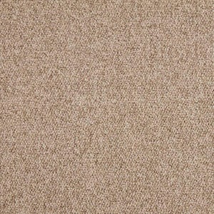 Hanville - Color Explorer Indoor Loop Brown Carpet