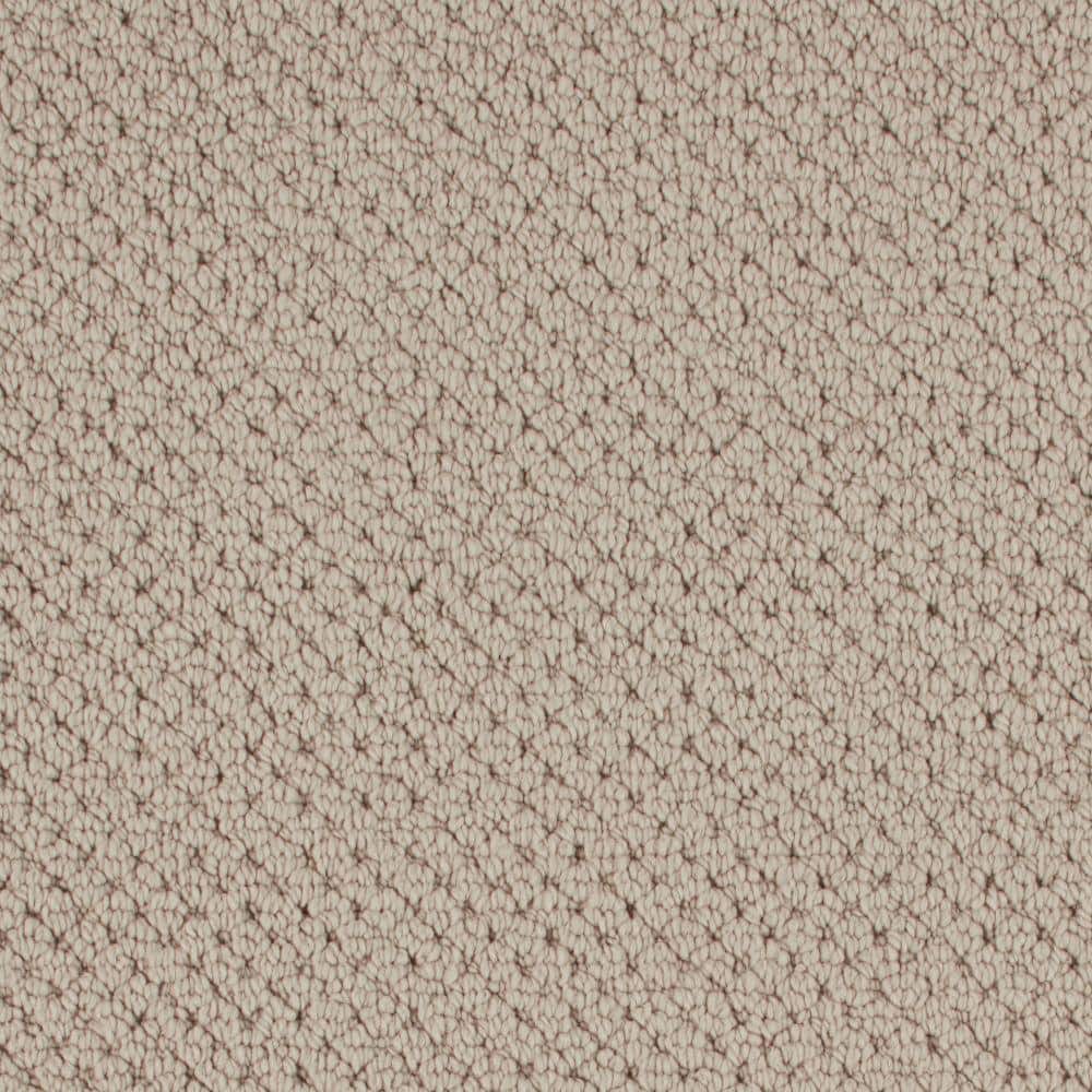 8 in. x 8 in. Pattern Carpet Sample - Abbotts Gate -Color Stepping Stones price history on PriceWatchPro