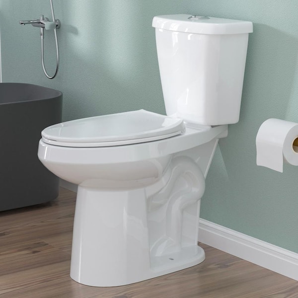 HOMLYLINK 21 in. Tall 2-Piece 1.1/1.6 GPF Dual Flush Map Flush 1000g Elongated 2-Piece Toilet in White Soft Close Seat I