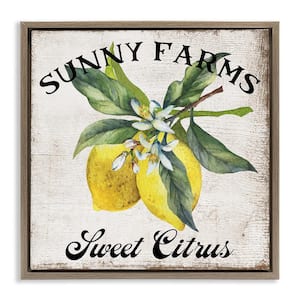 Sunny Farms Sweet Lemon by Creatif Belle Brown Floater Frame Food Graphic Art Print 25 in. x 25 in.