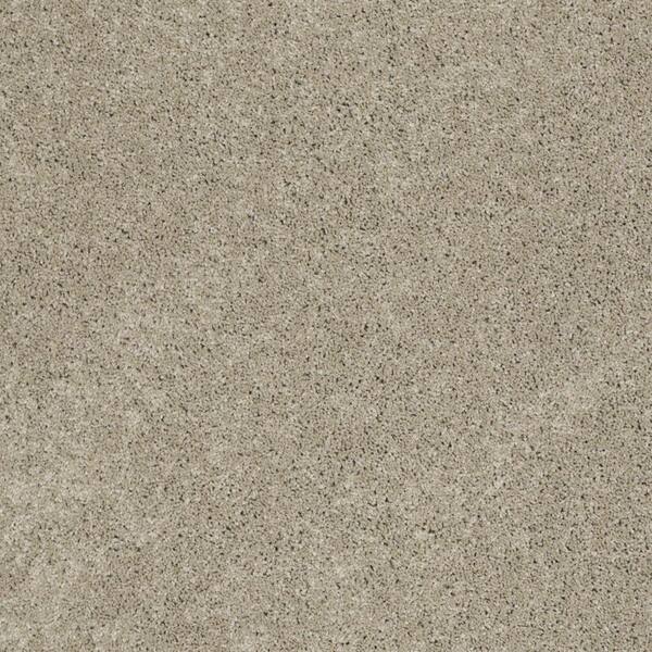 SoftSpring Carpet Sample - Cozy - Color Bristol Texture 8 in. x 8 in.