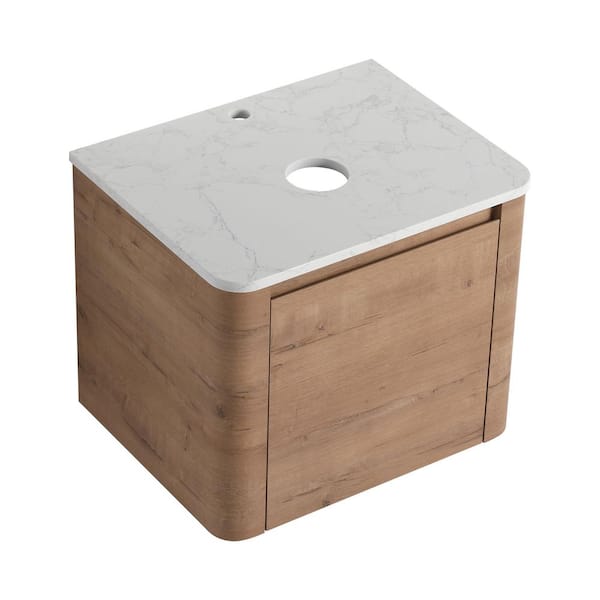 Modern 24 in. Wall-Mounted Bath Vanity Cabinet without Top in Brown Unassembled