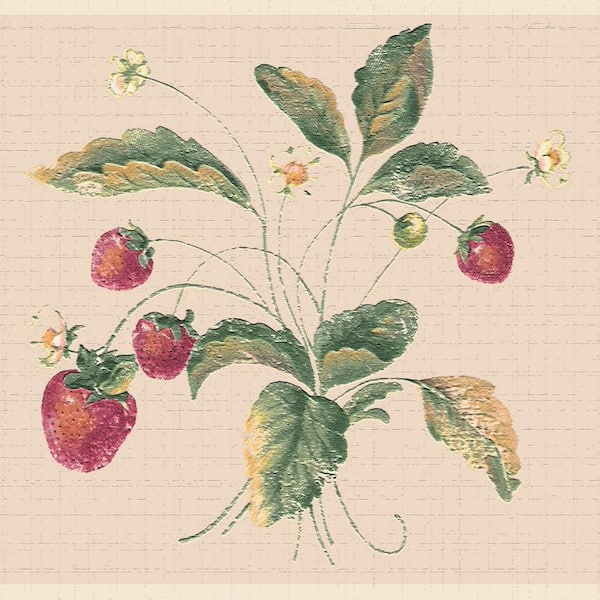 Dundee Deco Falkirk Dandy II Red Green Strawberries Nature Peel and Stick Wallpaper Border