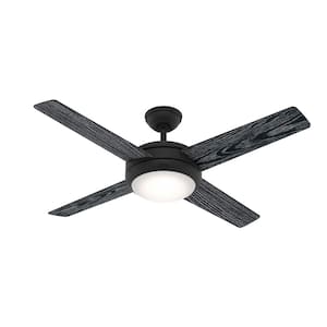 Marconi 52 in. LED Indoor Matte Black Ceiling Fan with Light Kit and Wall Control
