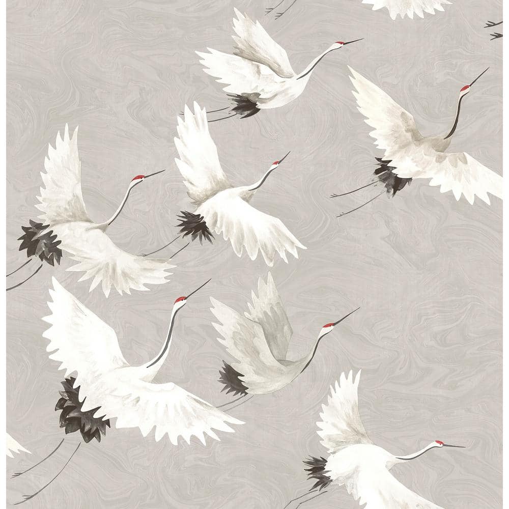Grey Halcyon Greys Wallpaper Sample price history on PriceWatchPro