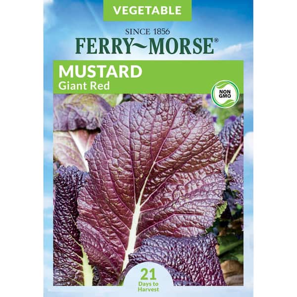 Ferry-Morse Mustard Red Giant Vegetable Seed