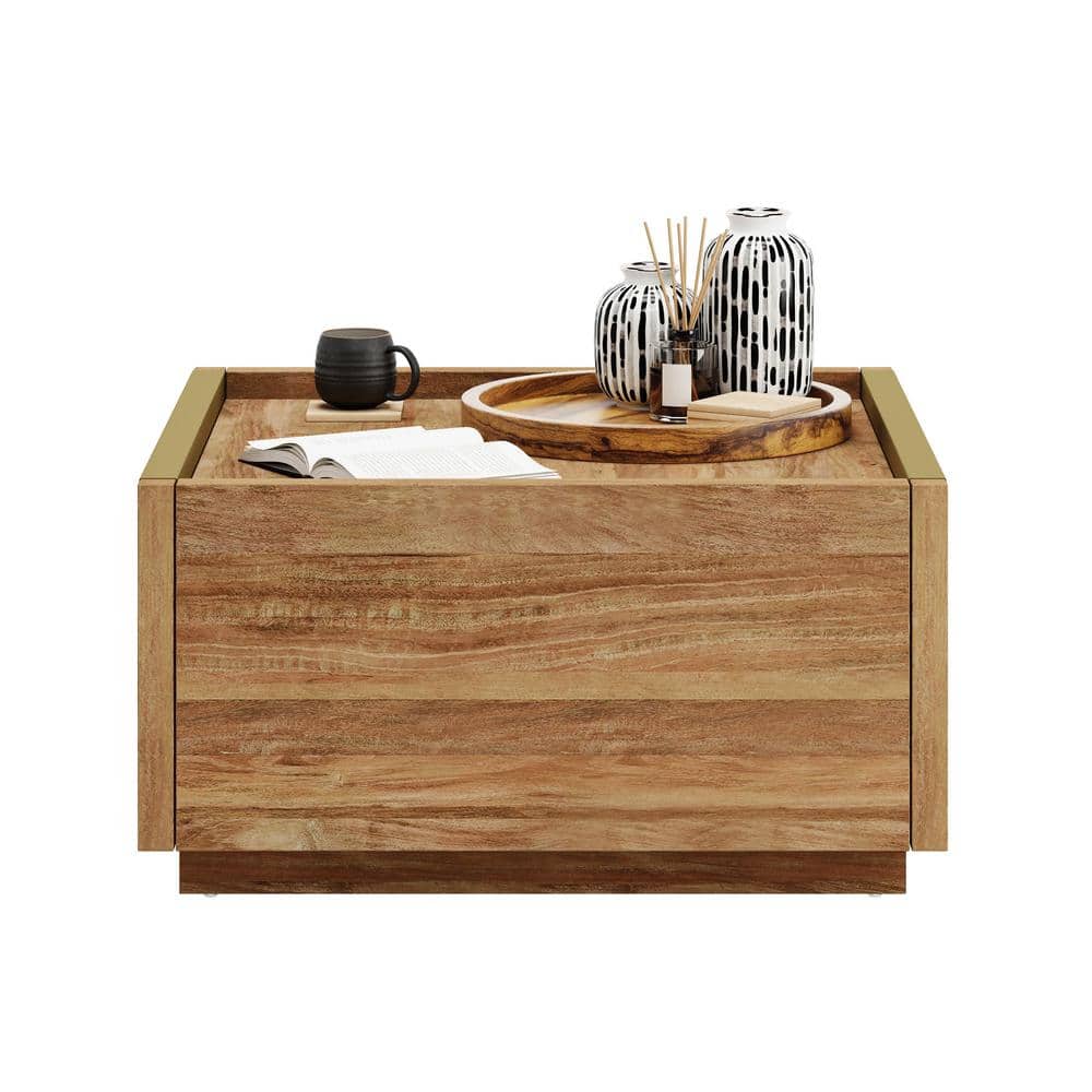 Sindoori Mango Modern Square Coffee Table with Storage