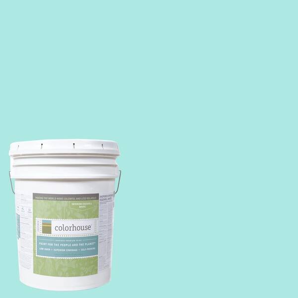 Colorhouse 5 gal. Sprout .01 Eggshell Interior Paint