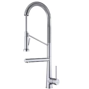 Tumba Single Handle Pull-Down Sprayer Kitchen Faucet in Stainless Steel