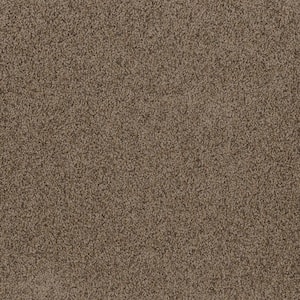 Dream Wish - Whim - Beige 32 oz. SD Polyester Texture Installed Carpet