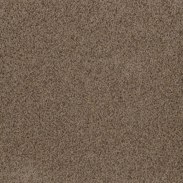 TrafficMaster Dream Wish - Whim - Beige 32 oz. SD Polyester Texture Installed Carpet