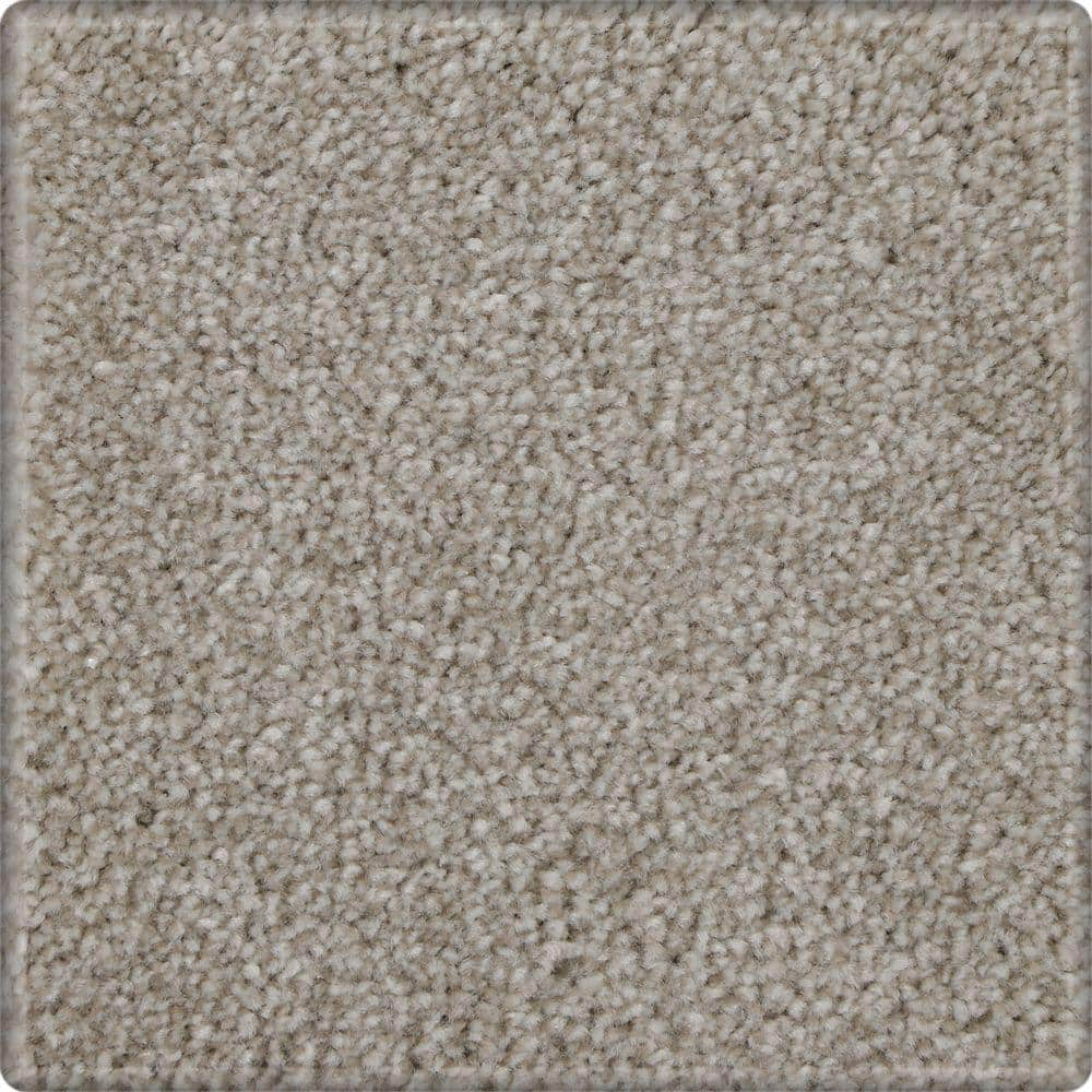 Lifeproof 8 In. X 8 In. Texture Carpet Sample - Denfort - Color Twine 