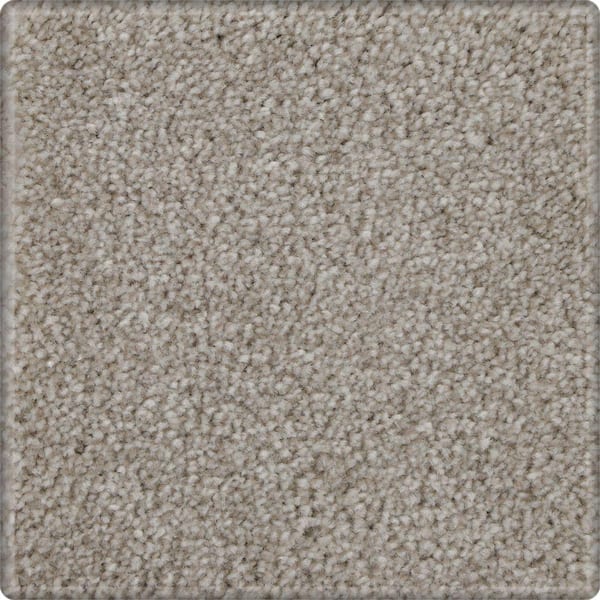 Reviews for Lifeproof 8 in. x 8 in. Texture Carpet Sample Denfort