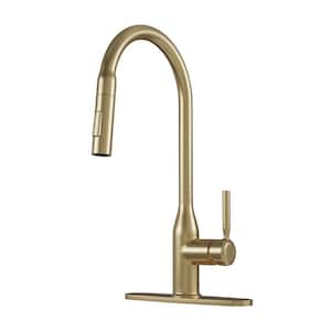 Modern Single Handle Pull Down Sprayer Kitchen Faucet with Deckplate and Water Supply Hoses in Brushed Gold