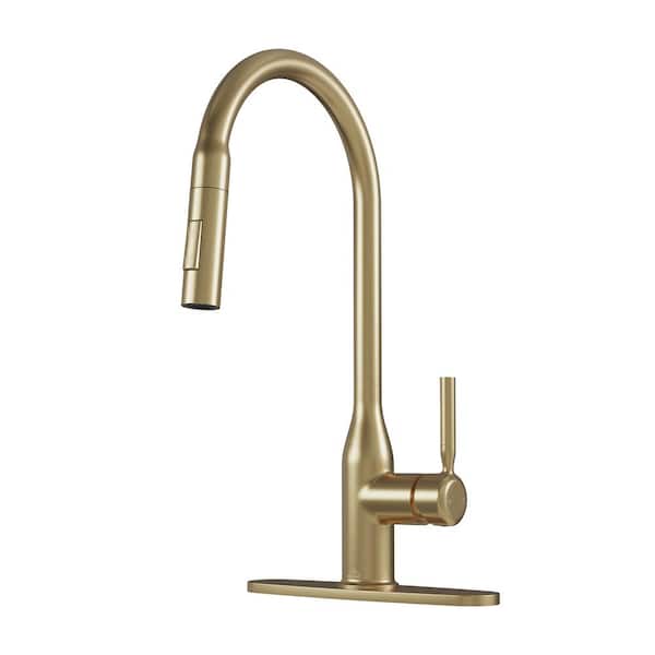 Boyel Living Modern Single Handle Pull Down Sprayer Kitchen Faucet with Deckplate and Water Supply Hoses in Brushed Gold