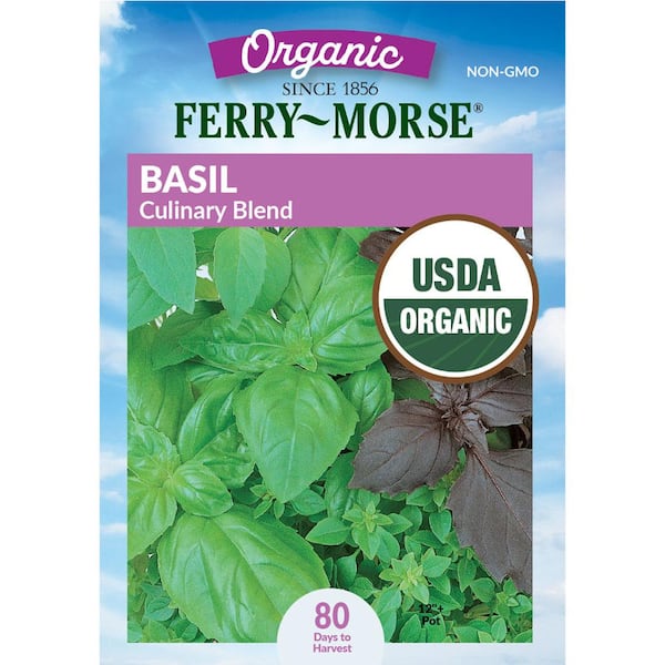 Organic Basil Culinary Blend Herb Seed