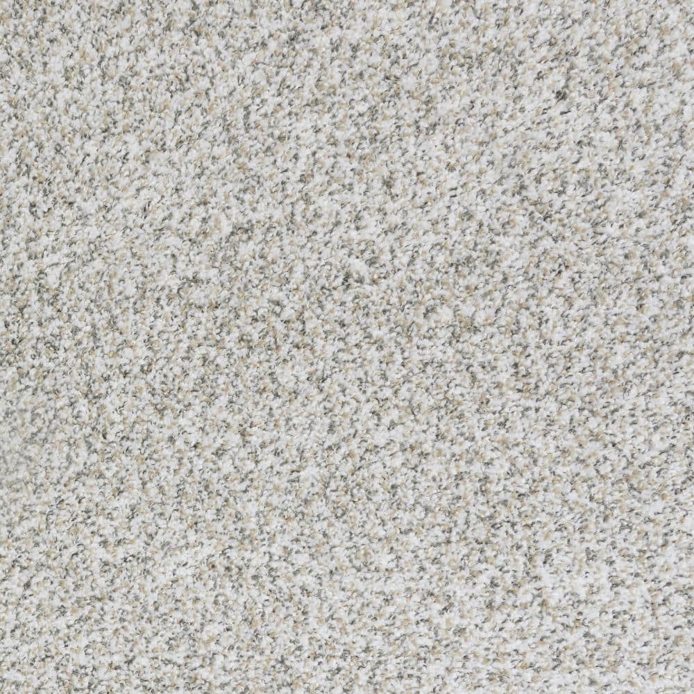 8 in. x 8 in. Texture Carpet Sample-Bolter I-Color Vault Stone price history on PriceWatchPro