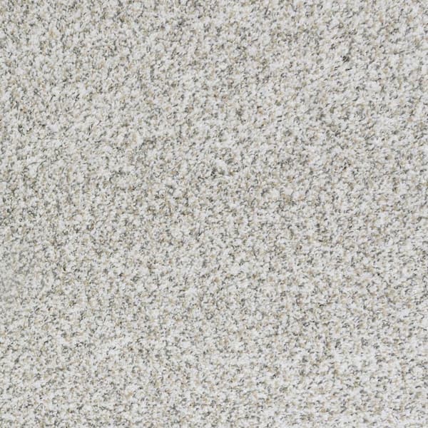 8 in. x 8 in. Texture Carpet Sample-Bolter I-Color Vault Stone