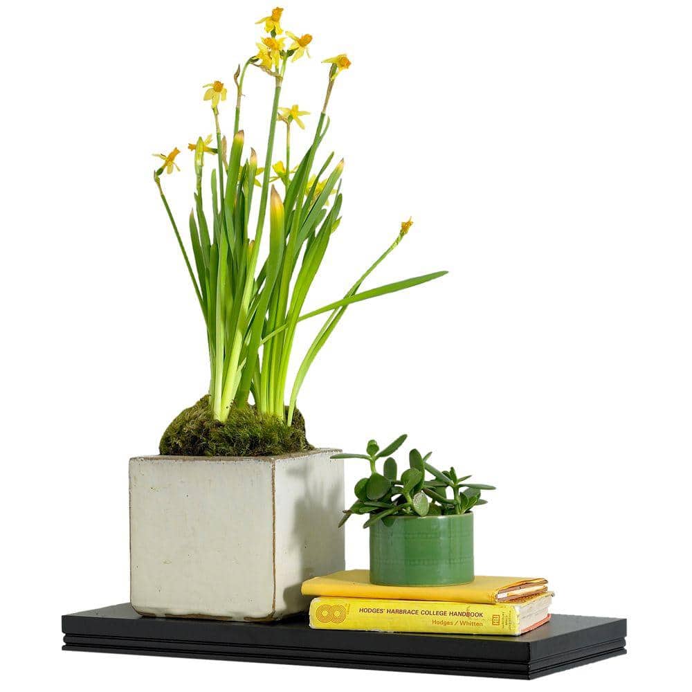 Warwick 18" Black MDF Floating Wall Shelf