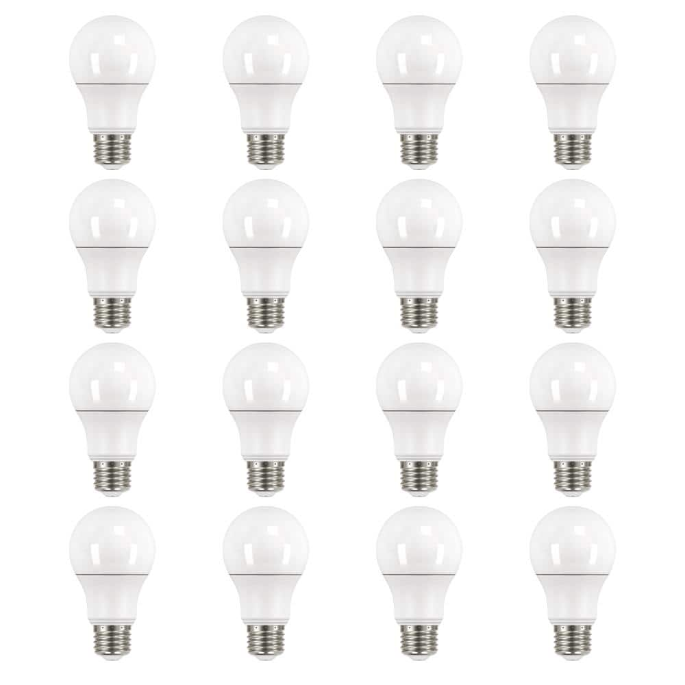 60-Watt Equivalent A19 Non-Dimmable LED Light Bulb Daylight (16-Pack)